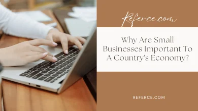 Why Are Small Businesses Important To A Country's Economy