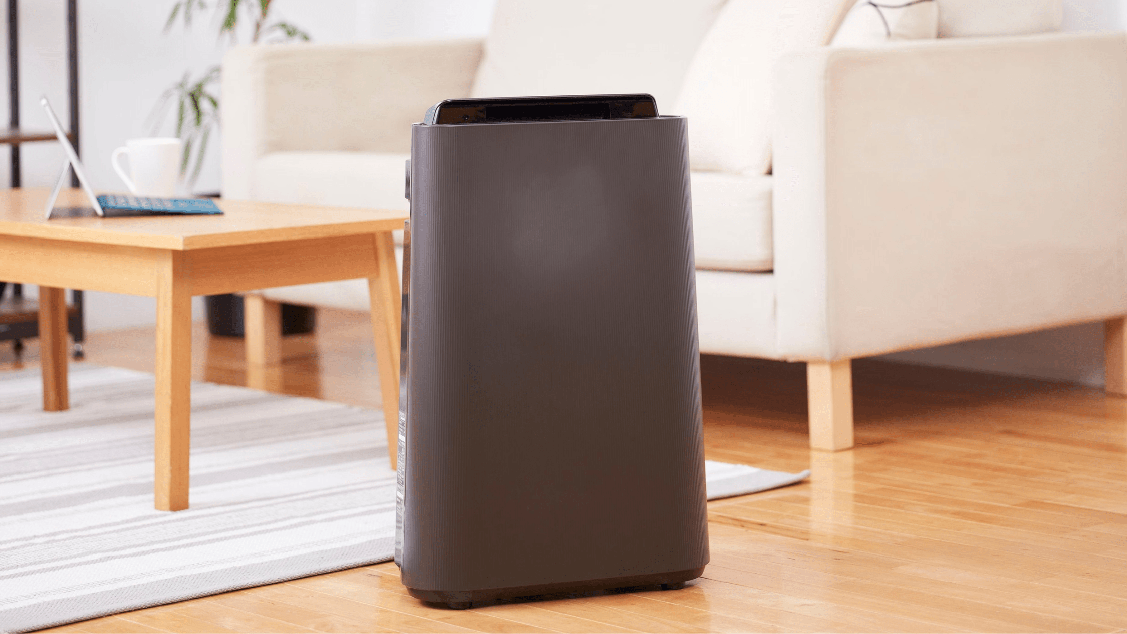 Smart Air Purifiers