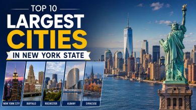 Feature image showing the Top 10 Largest Cities in New York State, with the New York City skyline and the Statue of Liberty in the background. The design highlights major cities including New York City, Buffalo, Rochester, Albany, and Syracuse through a collage of city landmarks and skylines. Bold typography emphasizes the article title, making it ideal for a travel, geography, or city ranking blog post.